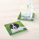Search for newfoundland coasters Puppy