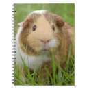 Search for guinea pig notebooks Rodent