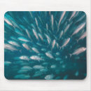Search for behaviour mousepads Nature
