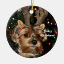 Search for yorkie christmas tree decorations Winter