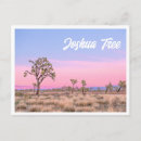 Search for tree photo postcards Sunset