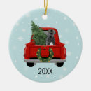 Search for cane corso christmas tree decorations Dog