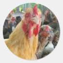 Search for bird egg stickers Farm animal