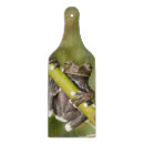 Search for frog cookware Amphibian