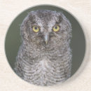 Search for owl coasters Grey