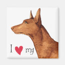 Search for pharaoh magnets Kelb tal fenek