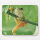 Search for tree frog mousepads Focus