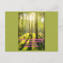 Search for bible quotes postcards Jesus