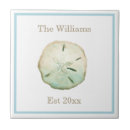 Search for sand dollar tiles Watercolor