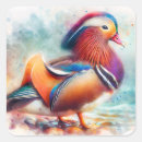 Search for colorful bird stickers Watercolor