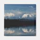 Search for mirror magnets Water