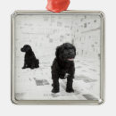 Search for portuguese water dog christmas tree decorations Animal