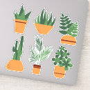 Search for succulent plants stickers Potted plant