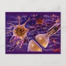 Search for nervous system postcards Science