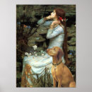Search for vizsla posters Pets