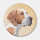 Search for pointer magnets Pet