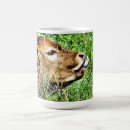Search for cute calf mugs Farm animal