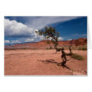 Search for twisted tree Red