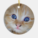 Search for tabby christmas tree decorations Sweet