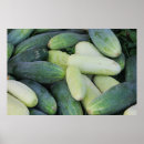 Search for miscellaneous posters White