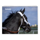 Search for horse office supplies Stallion