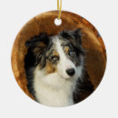 Search for border collie christmas decor Pets