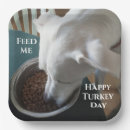 Search for funny thanksgiving plates White