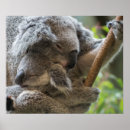 Search for cuddle posters Cute