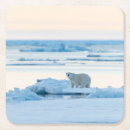 Search for climate barware Arctic