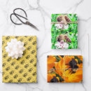 Search for bumble bee wrapping paper Apiary