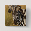 Search for zebra square badges Africa