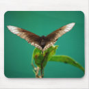 Search for v mousepads Nature
