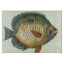 Search for fins home living Fish