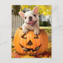 Search for jackolantern invitations Cute