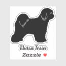 Search for tibetan terrier Pets