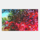 Search for autumn tree stickers Fall leaves