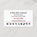 Search for bugs business cards Pests