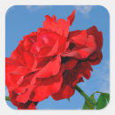 Search for red white and blue roses stickers Flowers