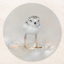 Search for chick coasters Animal