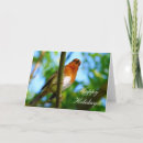 Search for wild animal christmas cards Bird