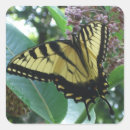 Search for shenandoah stickers Nature