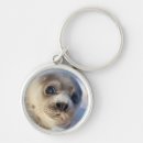 Search for animal body part key rings Wildlife