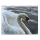 Search for swans swan calendars Wildlife