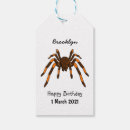 Search for arachnophobia gift wrap Arachnid