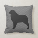 Search for australian shepherd cushions Aussie