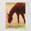 Search for grazing postcards Farm