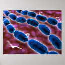 Search for pathological posters Healthcare