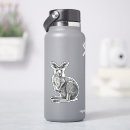 Search for cartoon kangaroo stickers Animal
