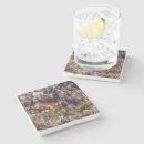 Search for lizard pet coasters Animal