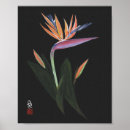 Search for bird of paradise art posters Floral